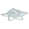 Светодиодная люстра 8028/5 PGD