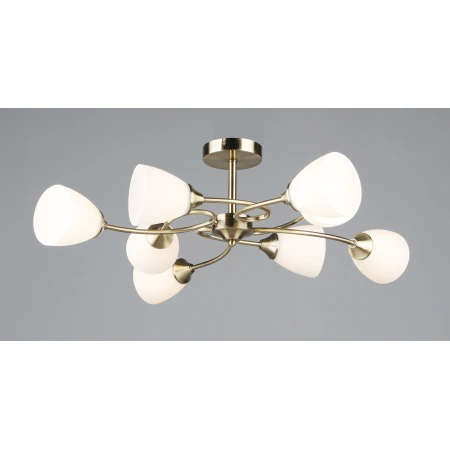 7124/8 AB (1) Люстра RL 