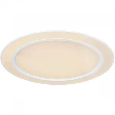 Потолочный светодиодный светильник Globo Dahla 48549-45