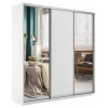 Шкафы-купе 3-х дверный Экспресс Медиум трио белый снег, зеркальный 