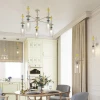 Подвесная люстра Odeon Light Bizet 4893/5C Подвесная люстра Odeon Light Bizet 4893/5C