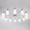 Потолочная люстра Eurosvet Vegga 70160/12 хром
