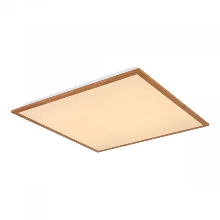 Потолочный светодиодный светильник Globo Doro 416080D2W