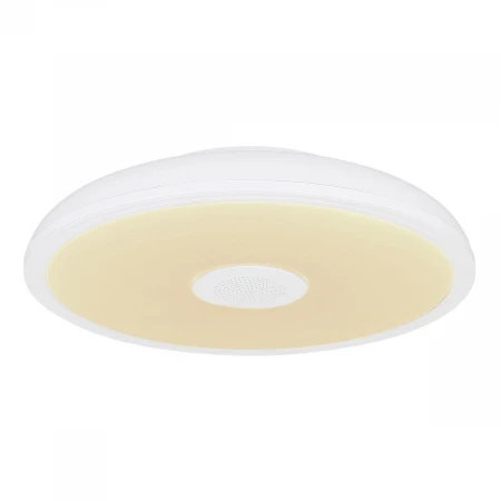 Потолочный светодиодный светильник Globo Raffy 41366W