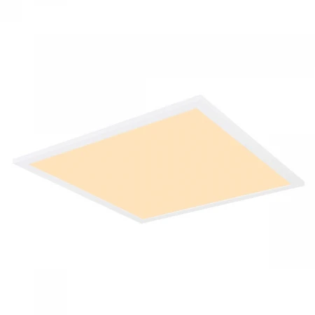 Настенно-потолочный светодиодный светильник Globo Sunao 41597D