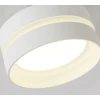 Потолочный светильник Ambrella light TN5419