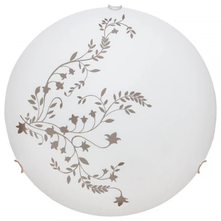 Настенный светильник Arte Lamp Ornament A3820PL-2CC