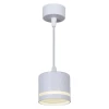 Подвесной светильник Reluce 53002-0.9-001LD GX53 WT