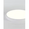 Потолочный светодиодный светильник Natali Kovaltseva LED LAMPS 81112/5C