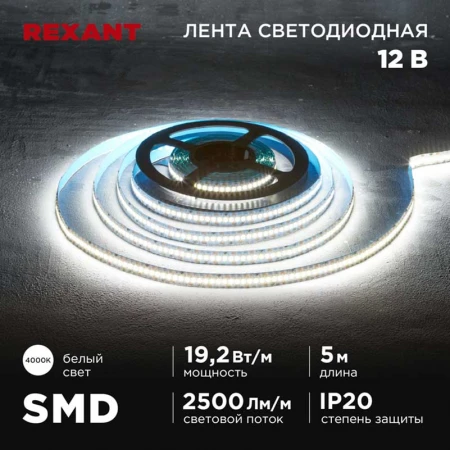 Светодиодная лента REXANT 141-224