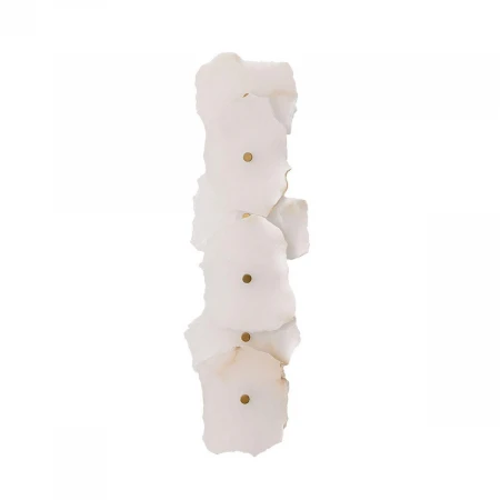 Настенный светодиодный светильник Divinare Eleanor 1713/17 AP-12