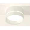 Комплект накладного светильника Ambrella light Techno Spot XS (C8101, N8461) XS8101020