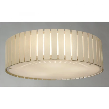 Светильник Citilux CL137152 Ямато