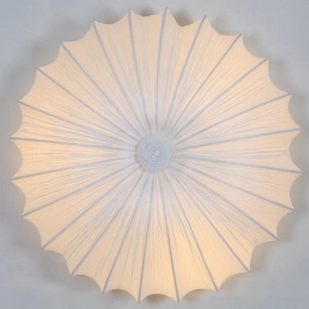 Светильник ST LUCE SL351.052.05