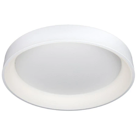 Светильник Omnilux OML-48507-96 Ortueri