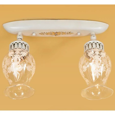 Спот Citilux CL413122 Метафора