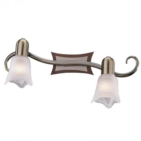 Спот Odeon Light 1968/2W Ilsa