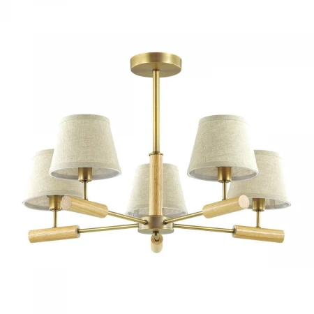 Потолочная люстра Lumion Robin 3703/5C