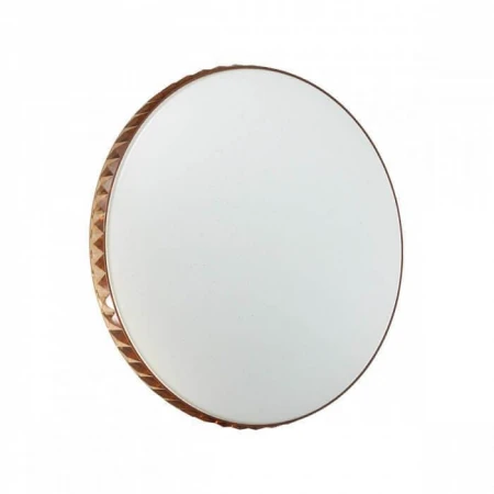 Настенно-потолочный светодиодный светильник Sonex Dina Amber 2078/DL